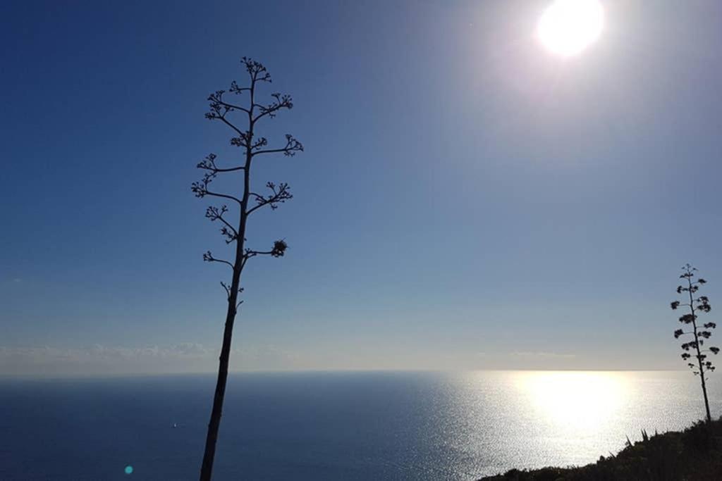 Suite Milu Cagliari Exterior foto